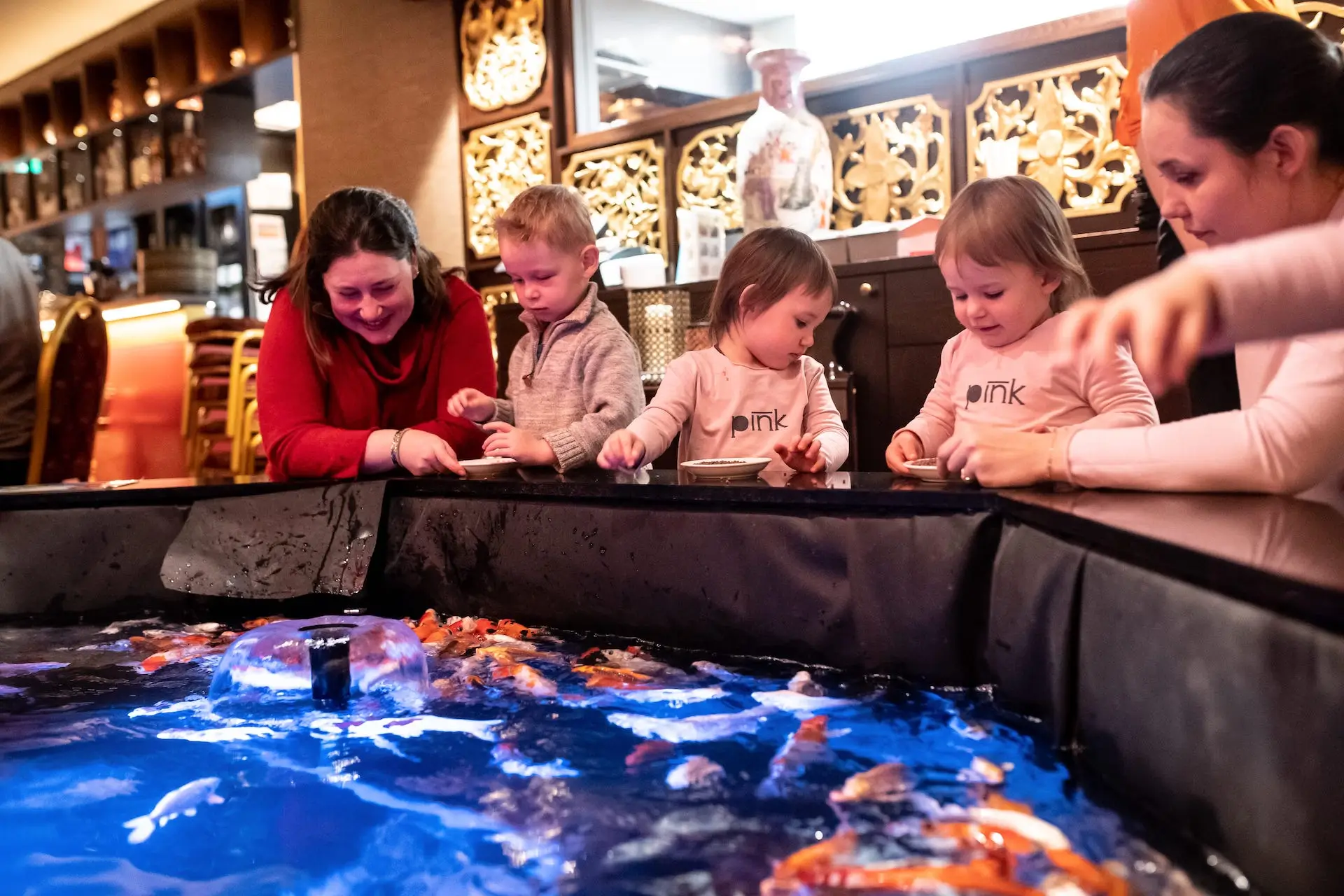 Guests are watching the fish